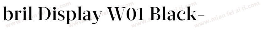 bril Display W01 Black字体转换